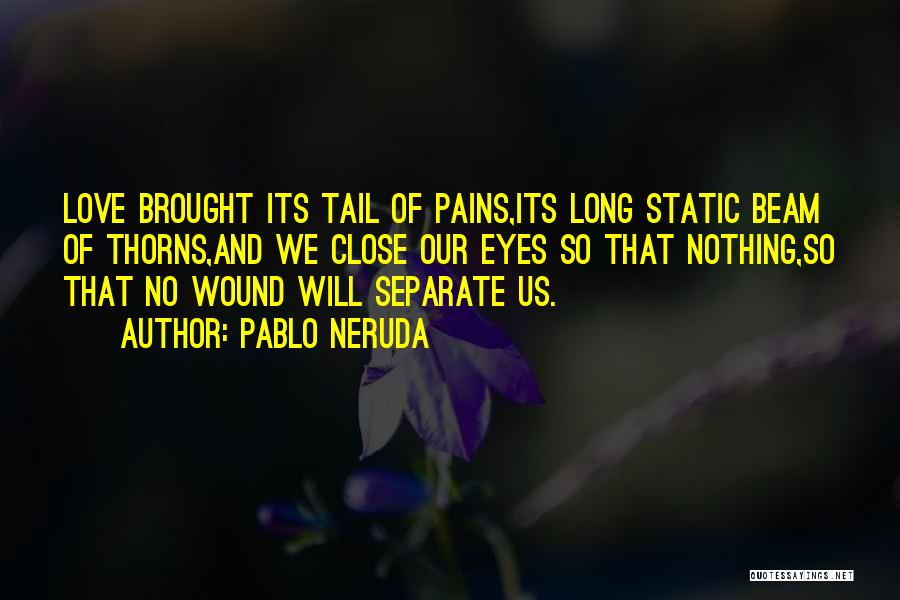 Pablo Neruda Quotes: Love Brought Its Tail Of Pains,its Long Static Beam Of Thorns,and We Close Our Eyes So That Nothing,so That No