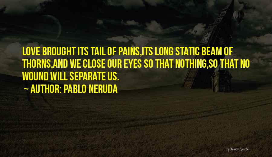 Pablo Neruda Quotes: Love Brought Its Tail Of Pains,its Long Static Beam Of Thorns,and We Close Our Eyes So That Nothing,so That No