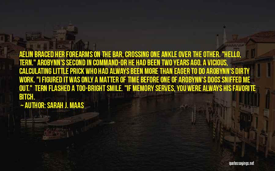 Sarah J. Maas Quotes: Aelin Braced Her Forearms On The Bar, Crossing One Ankle Over The Other. Hello, Tern. Arobynn's Second In Command-or He