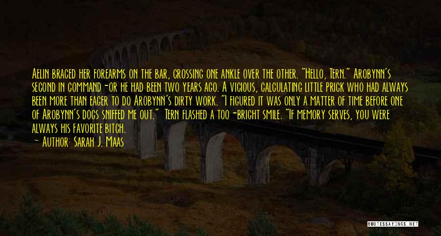 Sarah J. Maas Quotes: Aelin Braced Her Forearms On The Bar, Crossing One Ankle Over The Other. Hello, Tern. Arobynn's Second In Command-or He