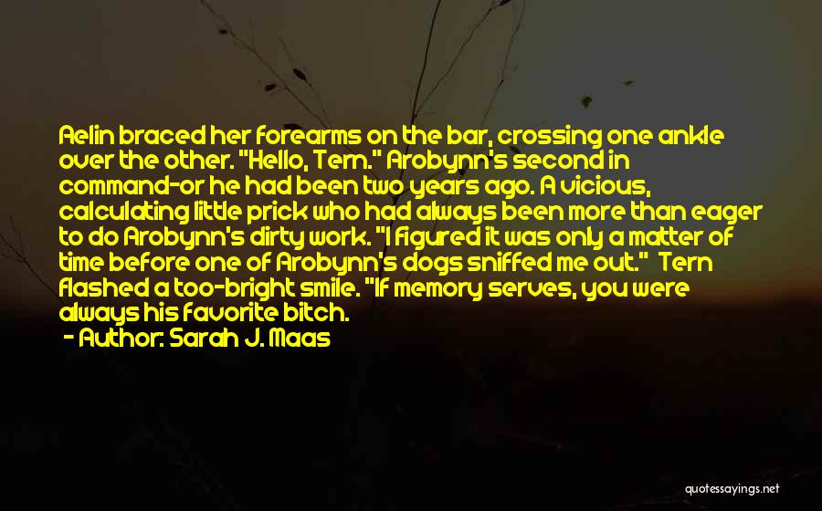 Sarah J. Maas Quotes: Aelin Braced Her Forearms On The Bar, Crossing One Ankle Over The Other. Hello, Tern. Arobynn's Second In Command-or He