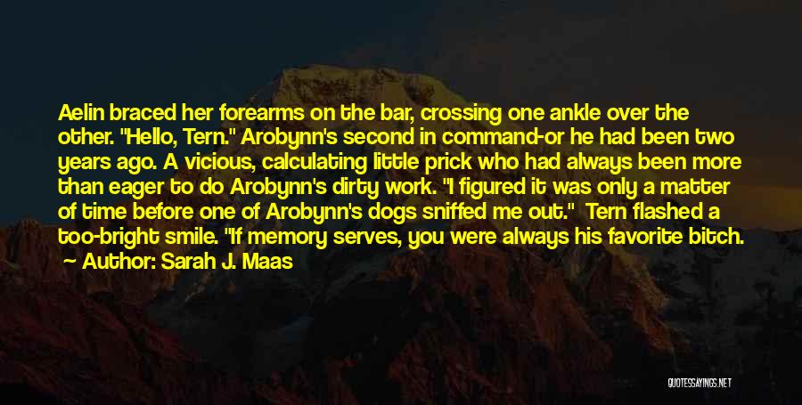 Sarah J. Maas Quotes: Aelin Braced Her Forearms On The Bar, Crossing One Ankle Over The Other. Hello, Tern. Arobynn's Second In Command-or He