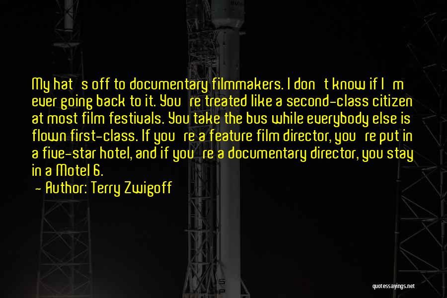 Terry Zwigoff Quotes: My Hat's Off To Documentary Filmmakers. I Don't Know If I'm Ever Going Back To It. You're Treated Like A