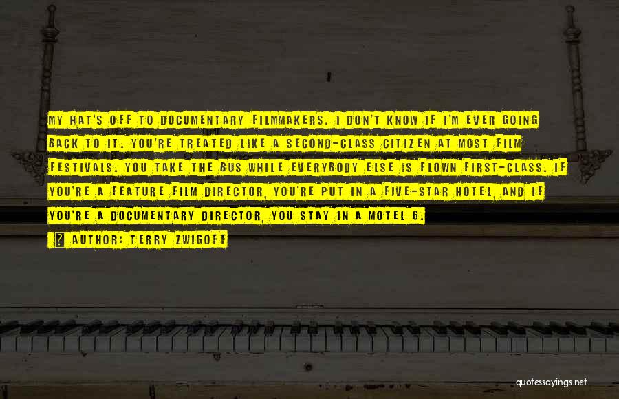 Terry Zwigoff Quotes: My Hat's Off To Documentary Filmmakers. I Don't Know If I'm Ever Going Back To It. You're Treated Like A