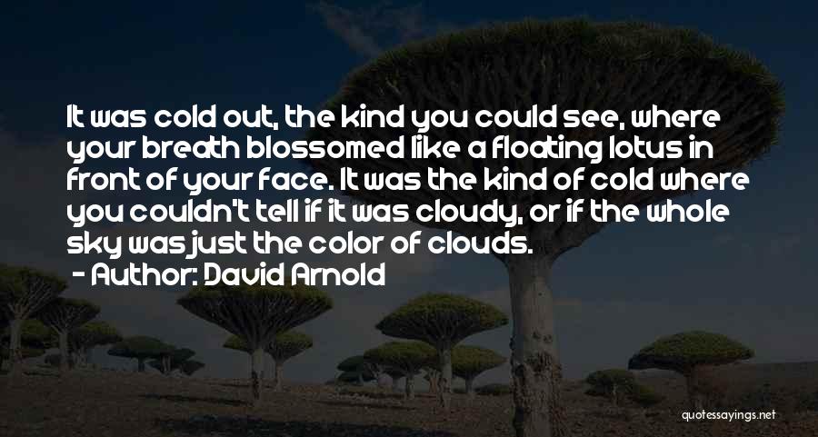 David Arnold Quotes: It Was Cold Out, The Kind You Could See, Where Your Breath Blossomed Like A Floating Lotus In Front Of