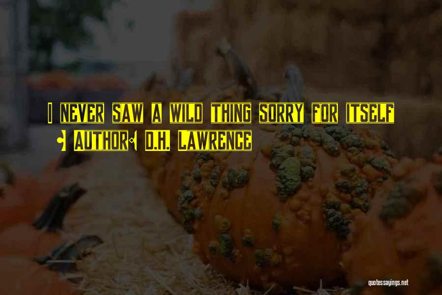 D.H. Lawrence Quotes: I Never Saw A Wild Thing Sorry For Itself