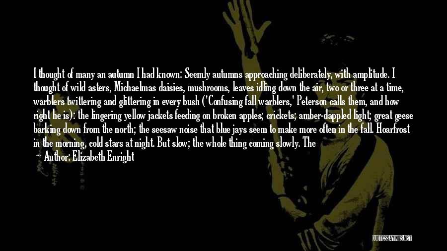 Elizabeth Enright Quotes: I Thought Of Many An Autumn I Had Known: Seemly Autumns Approaching Deliberately, With Amplitude. I Thought Of Wild Asters,