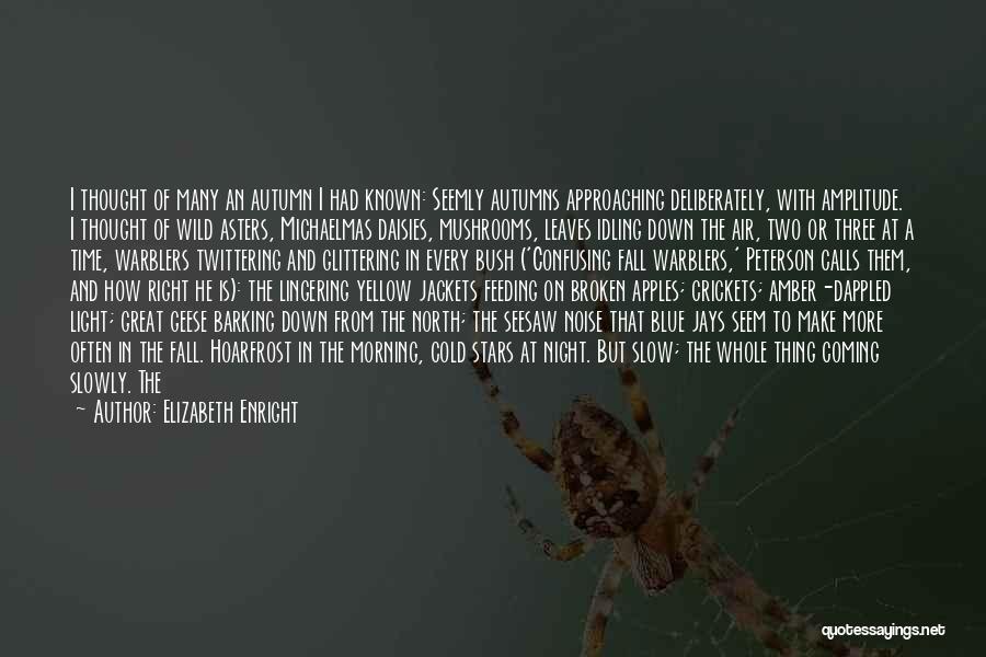 Elizabeth Enright Quotes: I Thought Of Many An Autumn I Had Known: Seemly Autumns Approaching Deliberately, With Amplitude. I Thought Of Wild Asters,