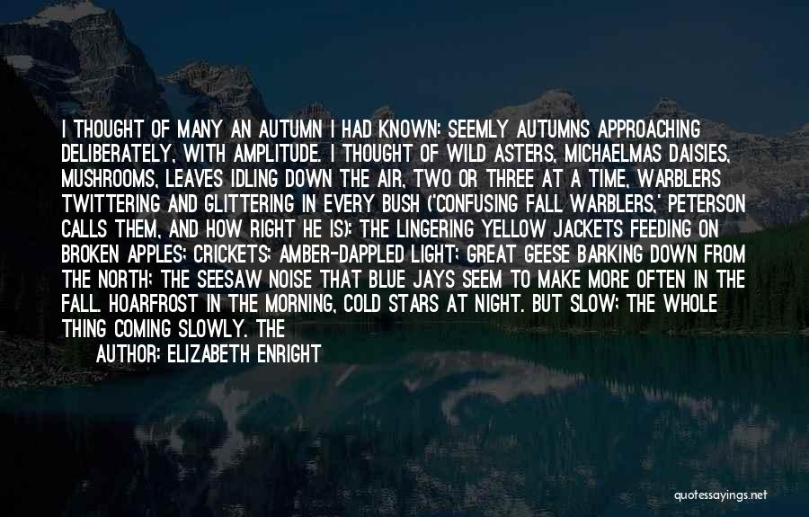 Elizabeth Enright Quotes: I Thought Of Many An Autumn I Had Known: Seemly Autumns Approaching Deliberately, With Amplitude. I Thought Of Wild Asters,