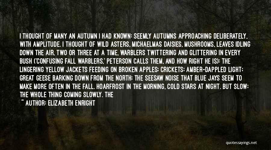 Elizabeth Enright Quotes: I Thought Of Many An Autumn I Had Known: Seemly Autumns Approaching Deliberately, With Amplitude. I Thought Of Wild Asters,