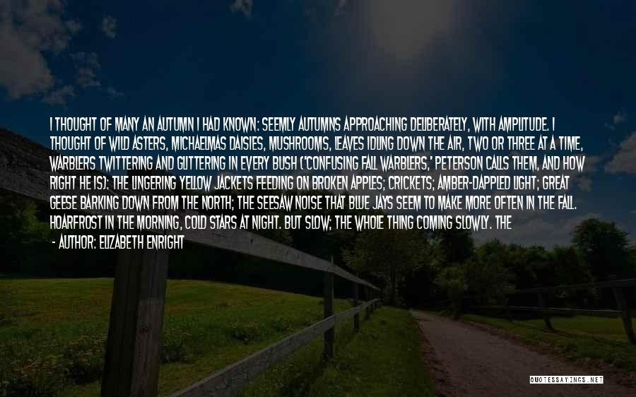 Elizabeth Enright Quotes: I Thought Of Many An Autumn I Had Known: Seemly Autumns Approaching Deliberately, With Amplitude. I Thought Of Wild Asters,