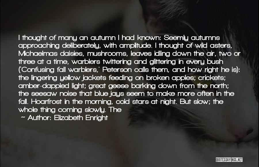 Elizabeth Enright Quotes: I Thought Of Many An Autumn I Had Known: Seemly Autumns Approaching Deliberately, With Amplitude. I Thought Of Wild Asters,