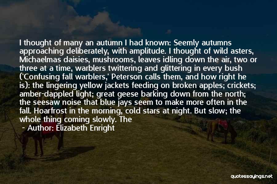 Elizabeth Enright Quotes: I Thought Of Many An Autumn I Had Known: Seemly Autumns Approaching Deliberately, With Amplitude. I Thought Of Wild Asters,