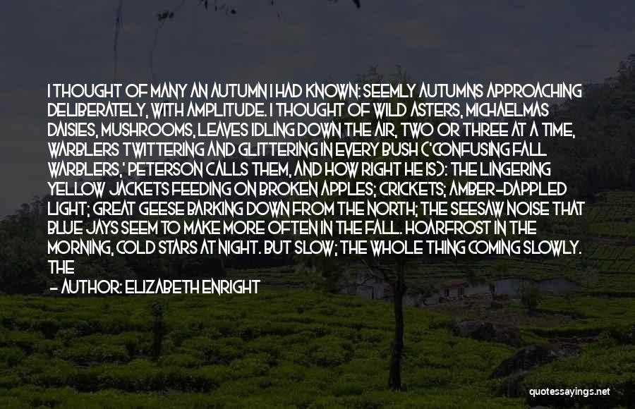 Elizabeth Enright Quotes: I Thought Of Many An Autumn I Had Known: Seemly Autumns Approaching Deliberately, With Amplitude. I Thought Of Wild Asters,
