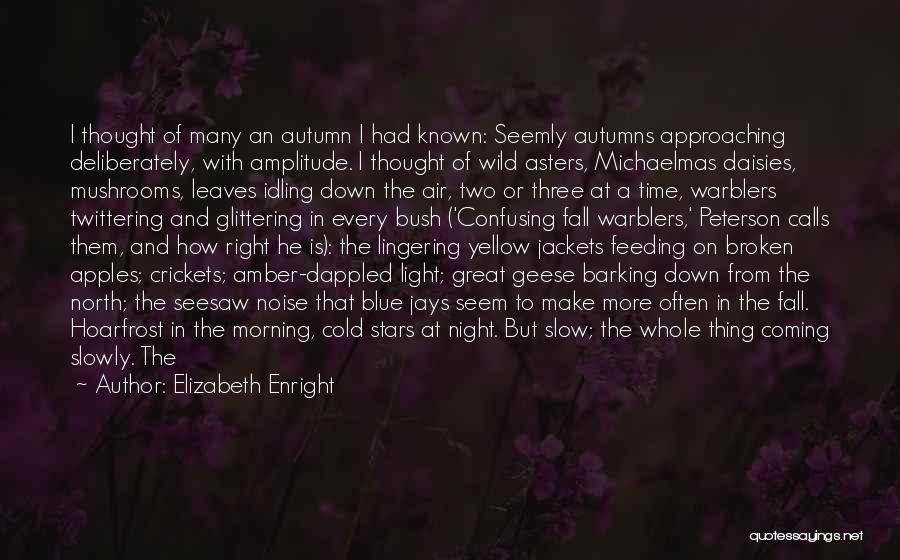 Elizabeth Enright Quotes: I Thought Of Many An Autumn I Had Known: Seemly Autumns Approaching Deliberately, With Amplitude. I Thought Of Wild Asters,