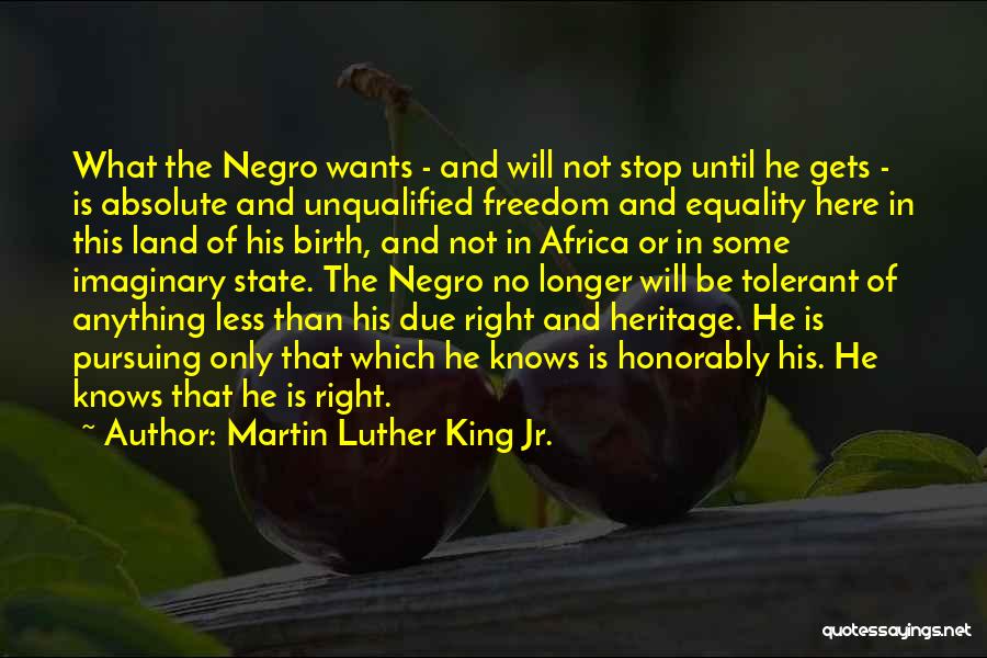 Martin Luther King Jr. Quotes: What The Negro Wants - And Will Not Stop Until He Gets - Is Absolute And Unqualified Freedom And Equality
