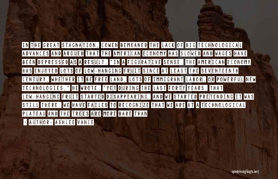 Ashlee Vance Quotes: In The Great Stagnation, Cowen Bemoaned The Lack Of Big Technological Advances And Argued That The American Economy Has Slowed