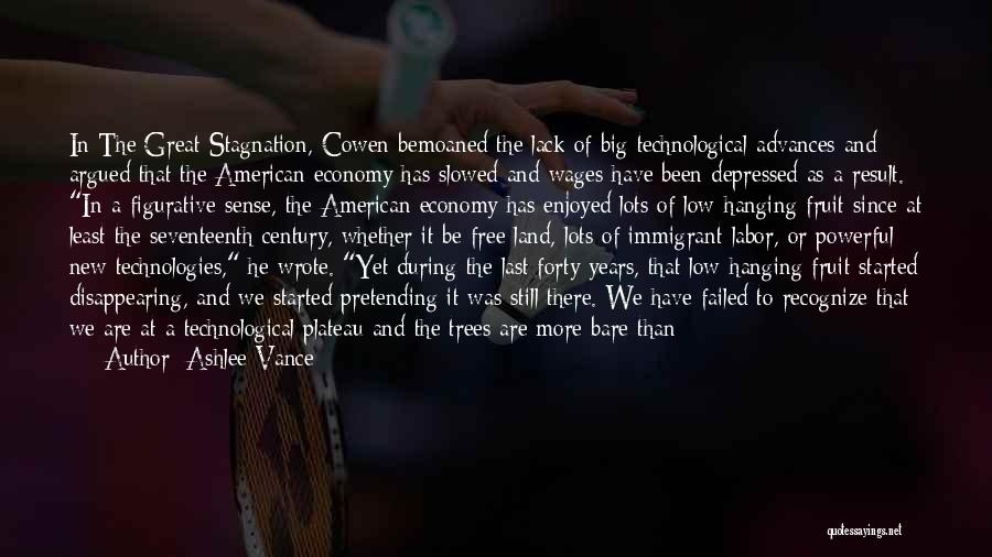 Ashlee Vance Quotes: In The Great Stagnation, Cowen Bemoaned The Lack Of Big Technological Advances And Argued That The American Economy Has Slowed