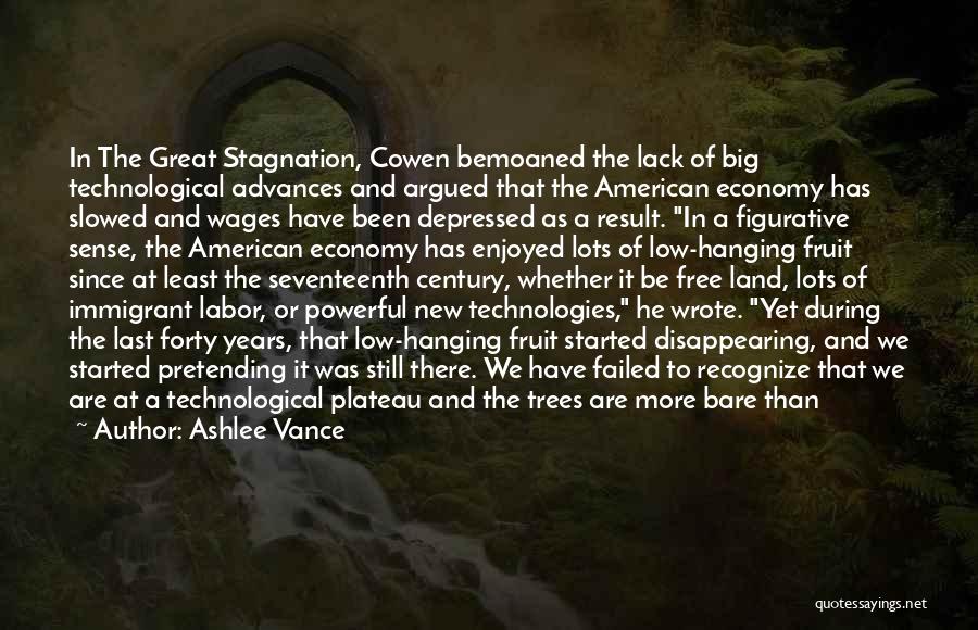 Ashlee Vance Quotes: In The Great Stagnation, Cowen Bemoaned The Lack Of Big Technological Advances And Argued That The American Economy Has Slowed