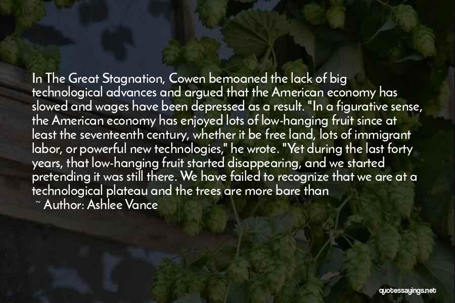 Ashlee Vance Quotes: In The Great Stagnation, Cowen Bemoaned The Lack Of Big Technological Advances And Argued That The American Economy Has Slowed