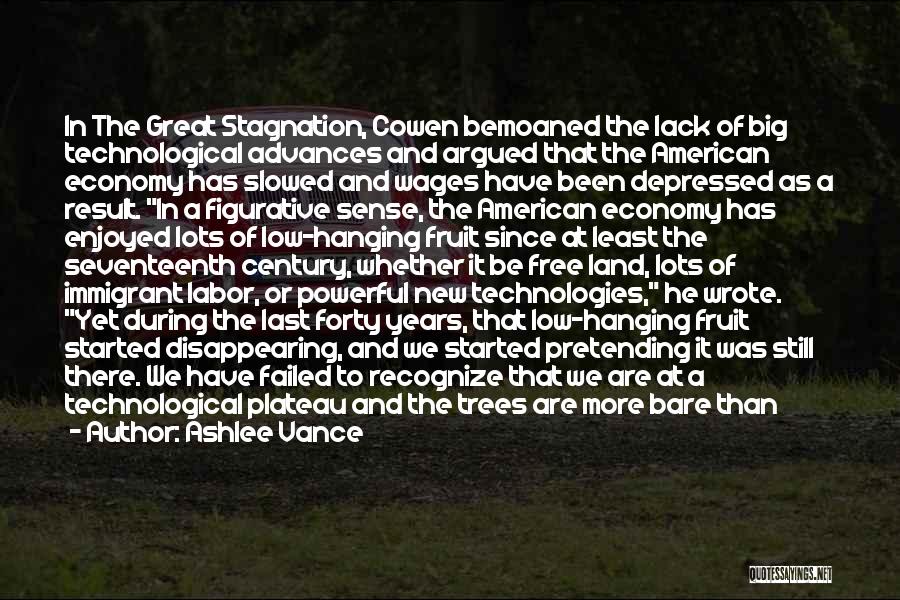Ashlee Vance Quotes: In The Great Stagnation, Cowen Bemoaned The Lack Of Big Technological Advances And Argued That The American Economy Has Slowed