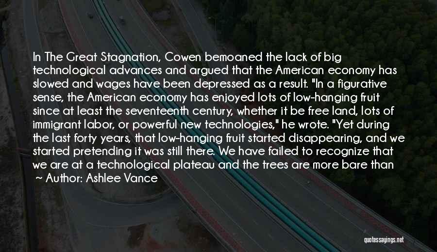 Ashlee Vance Quotes: In The Great Stagnation, Cowen Bemoaned The Lack Of Big Technological Advances And Argued That The American Economy Has Slowed