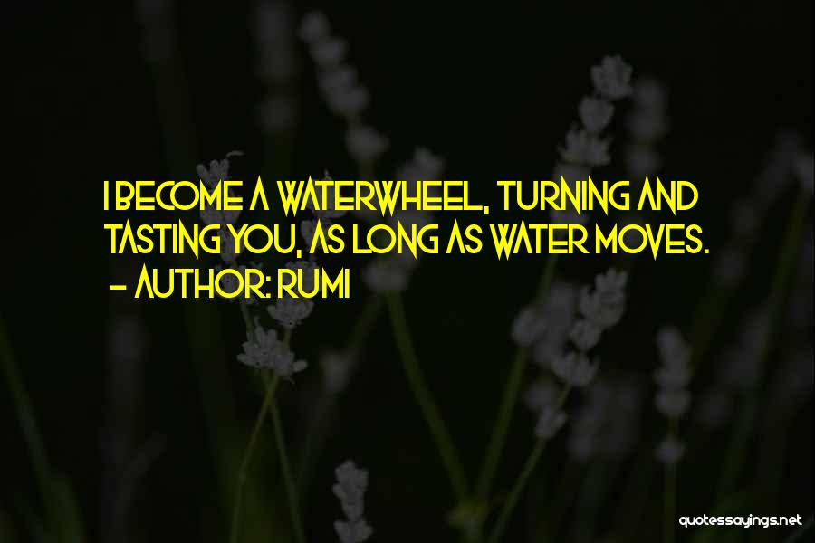 Rumi Quotes: I Become A Waterwheel, Turning And Tasting You, As Long As Water Moves.