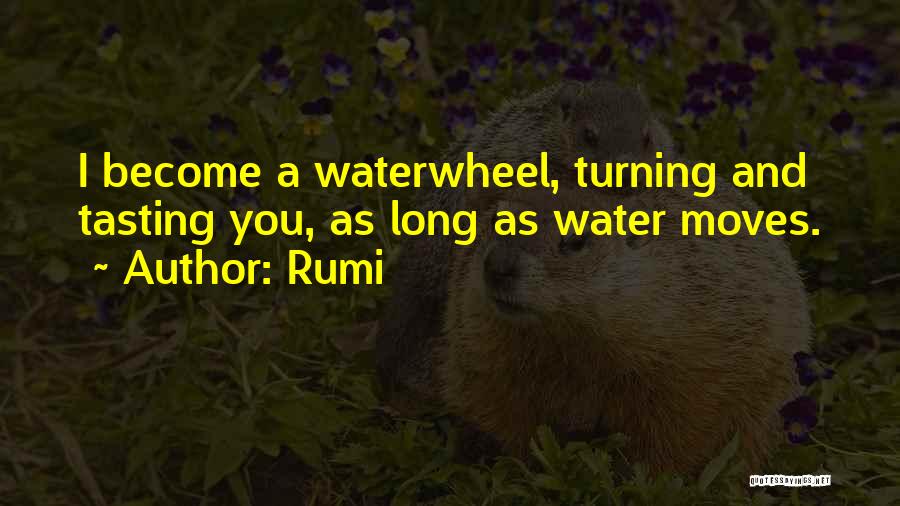 Rumi Quotes: I Become A Waterwheel, Turning And Tasting You, As Long As Water Moves.