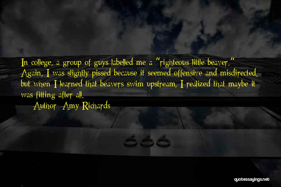 Amy Richards Quotes: In College, A Group Of Guys Labelled Me A Righteous Little Beaver. Again, I Was Slightly Pissed Because It Seemed