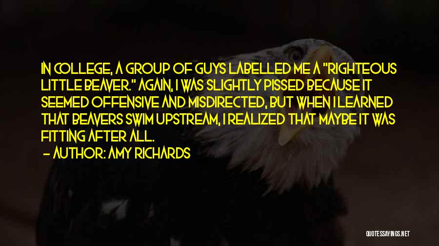 Amy Richards Quotes: In College, A Group Of Guys Labelled Me A Righteous Little Beaver. Again, I Was Slightly Pissed Because It Seemed