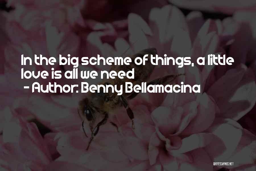 Benny Bellamacina Quotes: In The Big Scheme Of Things, A Little Love Is All We Need