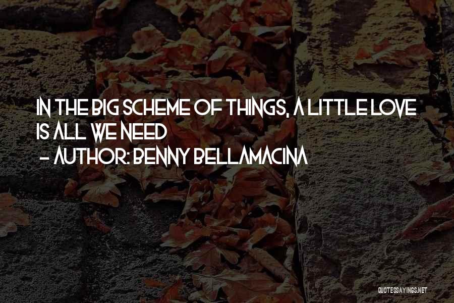 Benny Bellamacina Quotes: In The Big Scheme Of Things, A Little Love Is All We Need