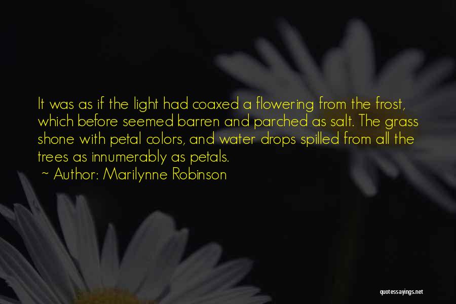 Marilynne Robinson Quotes: It Was As If The Light Had Coaxed A Flowering From The Frost, Which Before Seemed Barren And Parched As