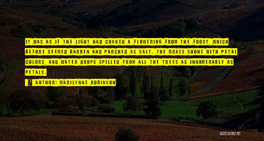 Marilynne Robinson Quotes: It Was As If The Light Had Coaxed A Flowering From The Frost, Which Before Seemed Barren And Parched As