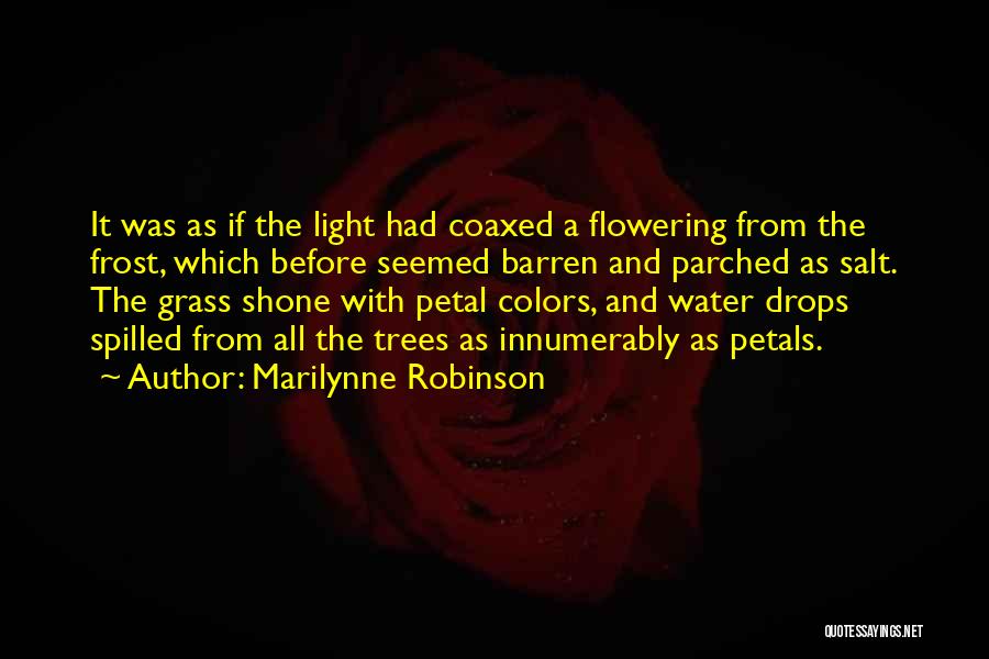 Marilynne Robinson Quotes: It Was As If The Light Had Coaxed A Flowering From The Frost, Which Before Seemed Barren And Parched As