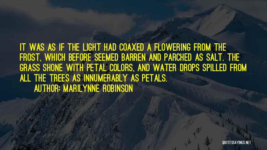 Marilynne Robinson Quotes: It Was As If The Light Had Coaxed A Flowering From The Frost, Which Before Seemed Barren And Parched As