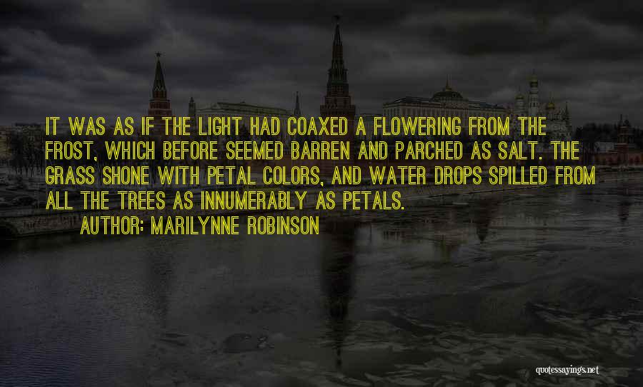 Marilynne Robinson Quotes: It Was As If The Light Had Coaxed A Flowering From The Frost, Which Before Seemed Barren And Parched As