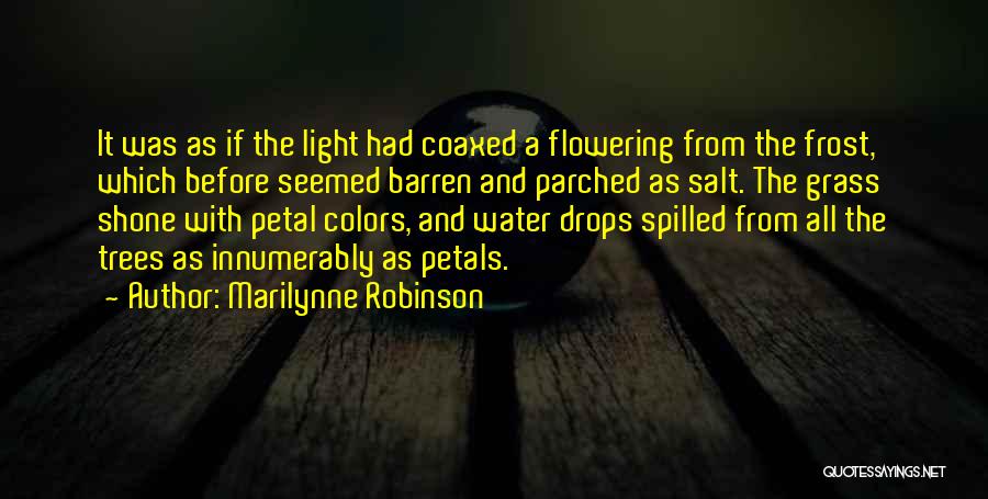 Marilynne Robinson Quotes: It Was As If The Light Had Coaxed A Flowering From The Frost, Which Before Seemed Barren And Parched As