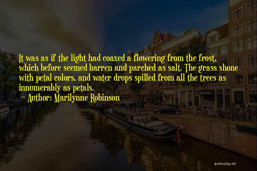 Marilynne Robinson Quotes: It Was As If The Light Had Coaxed A Flowering From The Frost, Which Before Seemed Barren And Parched As