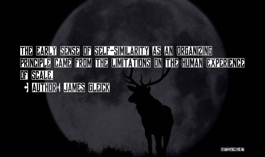 James Gleick Quotes: The Early Sense Of Self-similarity As An Organizing Principle Came From The Limitations On The Human Experience Of Scale.