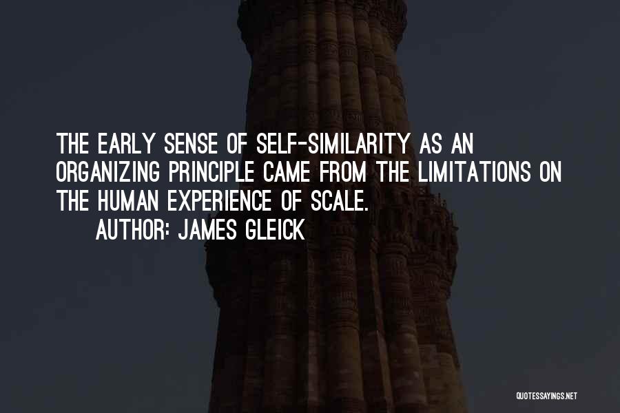 James Gleick Quotes: The Early Sense Of Self-similarity As An Organizing Principle Came From The Limitations On The Human Experience Of Scale.