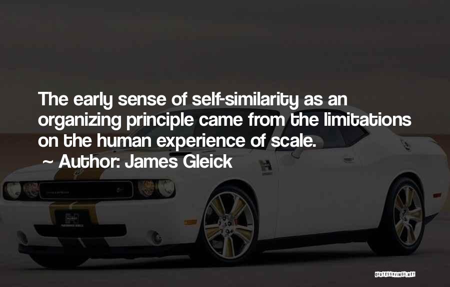 James Gleick Quotes: The Early Sense Of Self-similarity As An Organizing Principle Came From The Limitations On The Human Experience Of Scale.