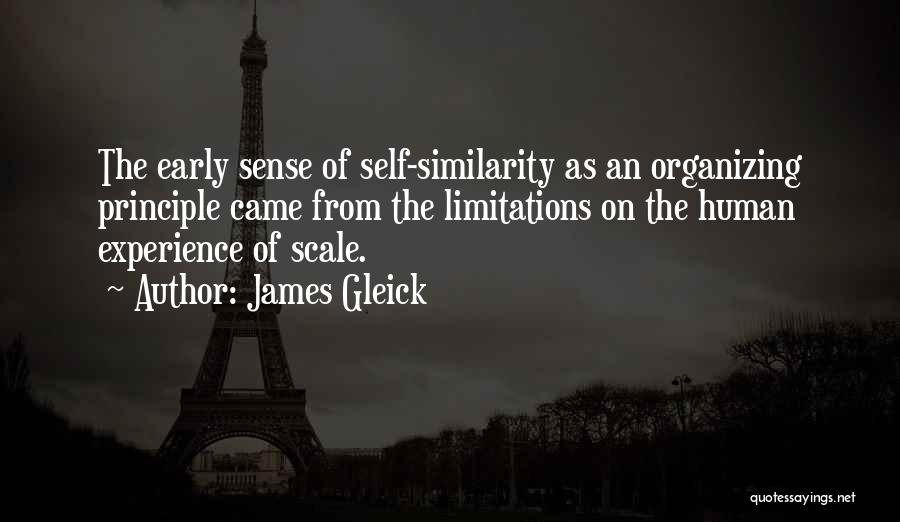 James Gleick Quotes: The Early Sense Of Self-similarity As An Organizing Principle Came From The Limitations On The Human Experience Of Scale.