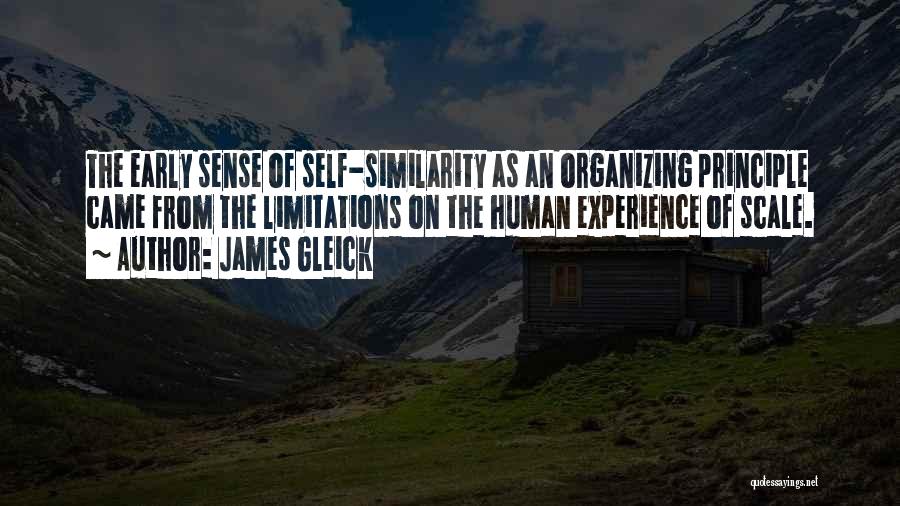 James Gleick Quotes: The Early Sense Of Self-similarity As An Organizing Principle Came From The Limitations On The Human Experience Of Scale.