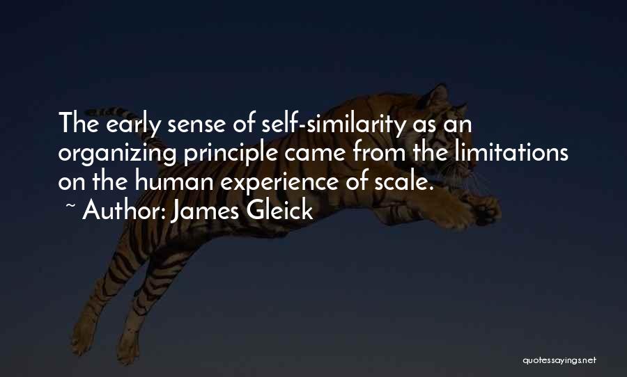 James Gleick Quotes: The Early Sense Of Self-similarity As An Organizing Principle Came From The Limitations On The Human Experience Of Scale.