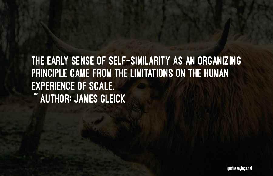 James Gleick Quotes: The Early Sense Of Self-similarity As An Organizing Principle Came From The Limitations On The Human Experience Of Scale.