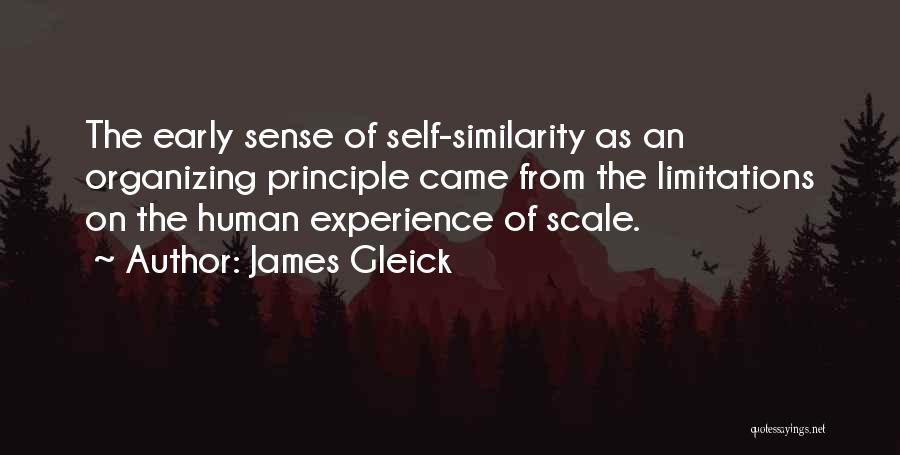 James Gleick Quotes: The Early Sense Of Self-similarity As An Organizing Principle Came From The Limitations On The Human Experience Of Scale.