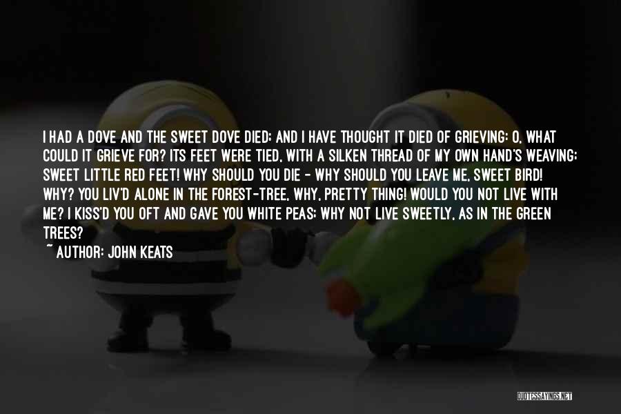 John Keats Quotes: I Had A Dove And The Sweet Dove Died; And I Have Thought It Died Of Grieving: O, What Could