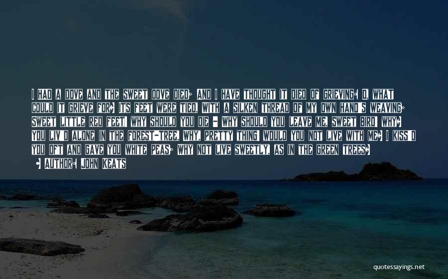 John Keats Quotes: I Had A Dove And The Sweet Dove Died; And I Have Thought It Died Of Grieving: O, What Could