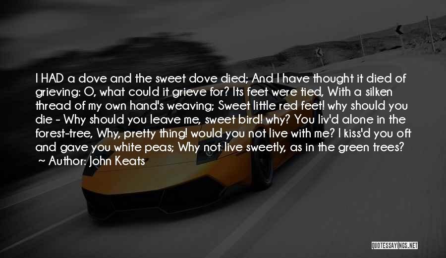 John Keats Quotes: I Had A Dove And The Sweet Dove Died; And I Have Thought It Died Of Grieving: O, What Could